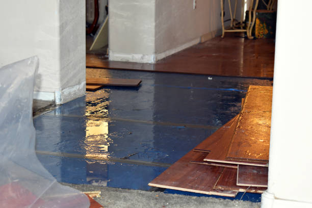 Professional Basement Flood Cleanup technician working in Lookout, WV